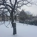 Casa de Férias Climatisé Jusqu'à 9 Personnes Secteurs Obernai Strasbourg *