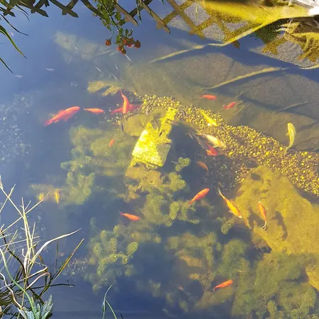 Maison De Freconrupt 別荘 *