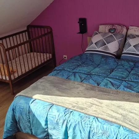 Climatise Jusqu'a 9 Personnes Secteurs Obernai Strasbourg * La Broque