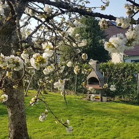 Holiday home Maison De Freconrupt