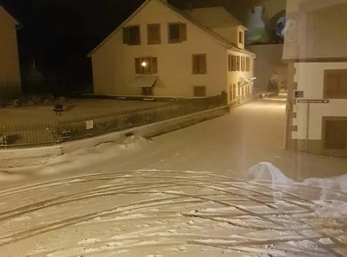 Climatise Jusqu'a 9 Personnes Secteurs Obernai Strasbourg