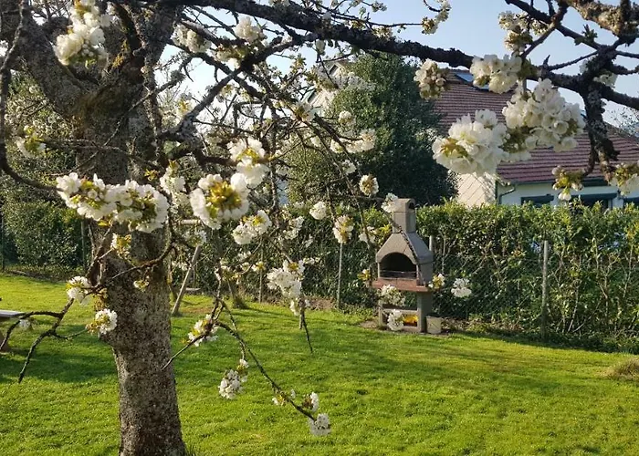 別荘 Climatise Jusqu'a 9 Personnes Secteurs Obernai Strasbourg